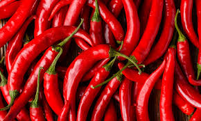 Chilli Pepper(Capsicum annum L.)